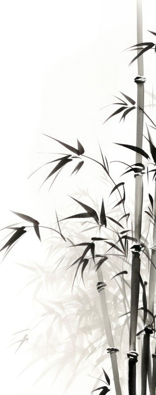 Bamboo plant monochrome outdoors.